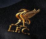 Liverpool kit away 2012-2013